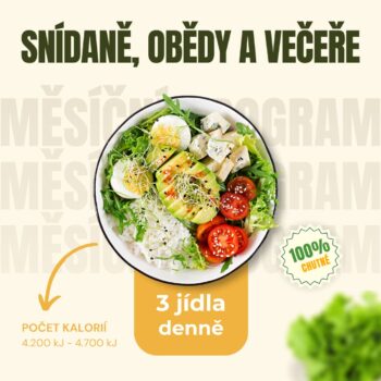 Snídaně, obědy a večeře (měsíc - 20 dní)