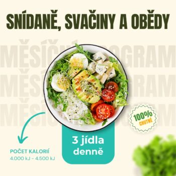 Snídaně, svačiny a obědy (měsíc - 20 dní)